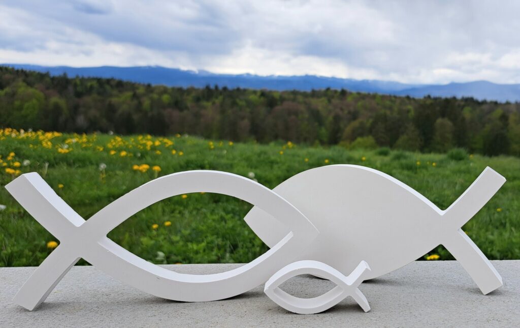 Fische von gussform.at