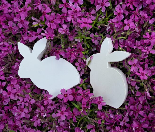 Silikonform von Hase von gussform.at