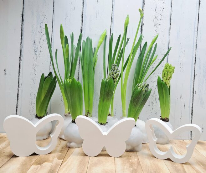 Silikonform vom Schmetterling von gussform.at