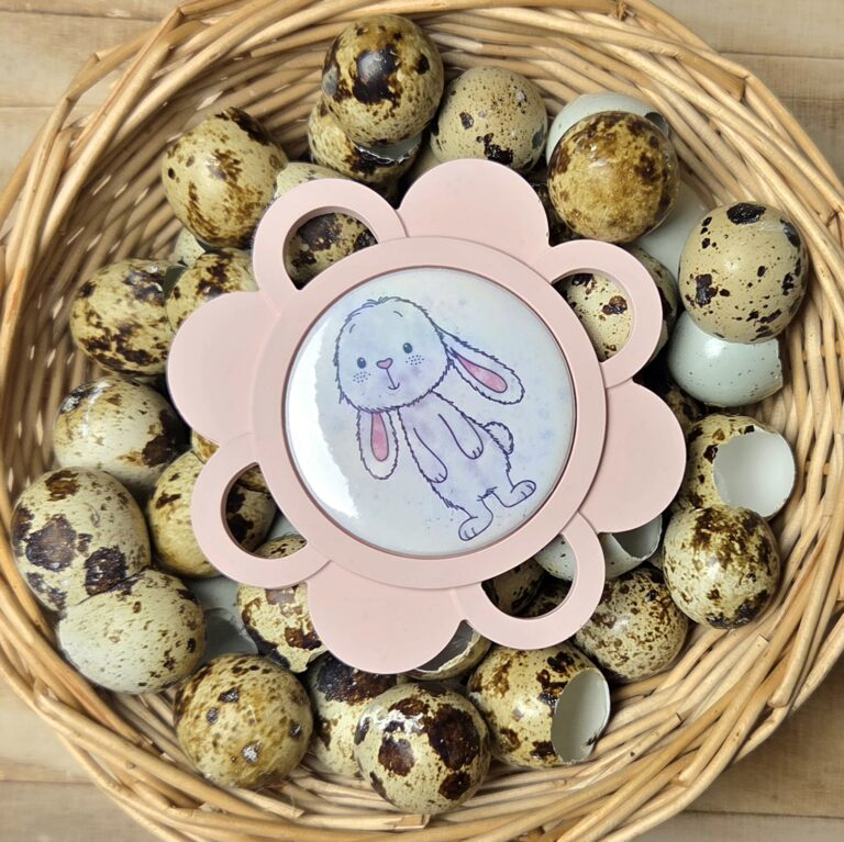 Startseite 24 20260219 022128