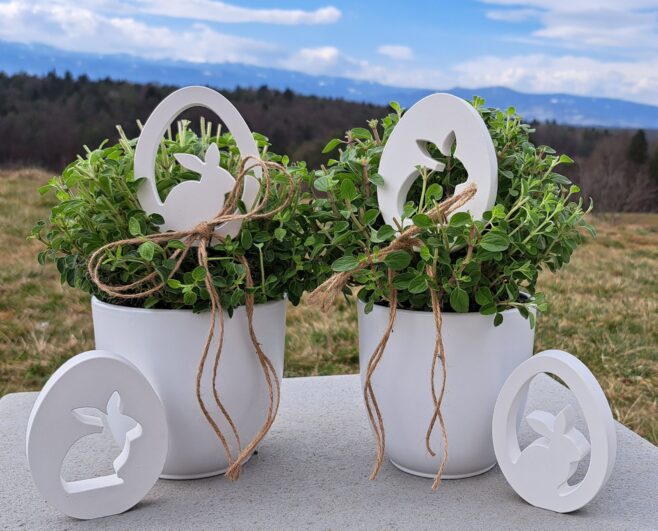 Silikonform von Hase von gussform.at