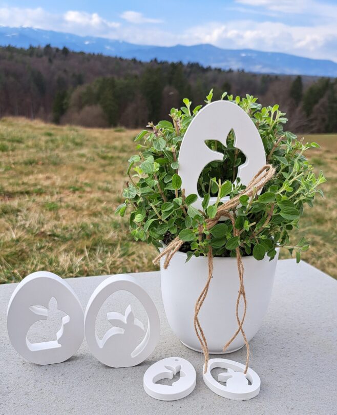 Silikonform von Hase von gussform.at