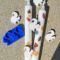 silikonform und Gips Eichhörnchen mit 3cm, 2 Kerzen von gussform.at