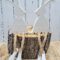 Silikonform von Hase von gussform.at